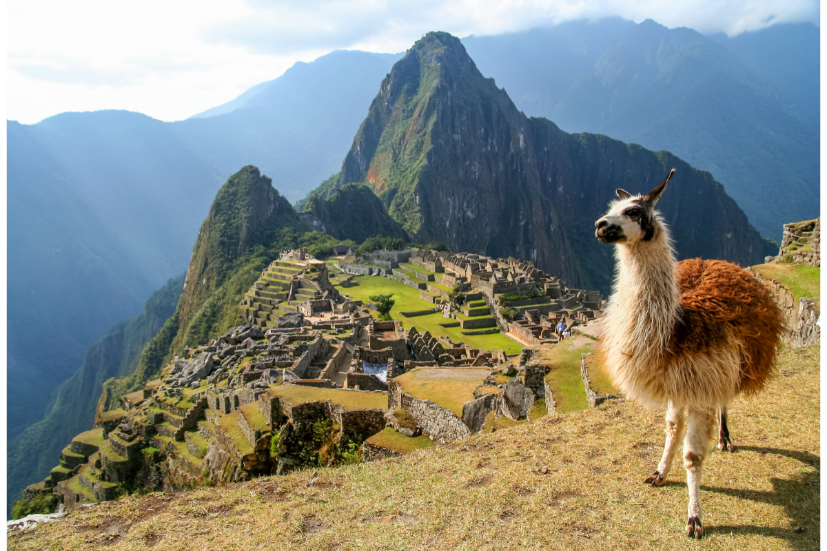 Machu Picchu