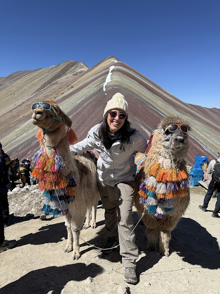 Foto na montanha colorida com as lhamas